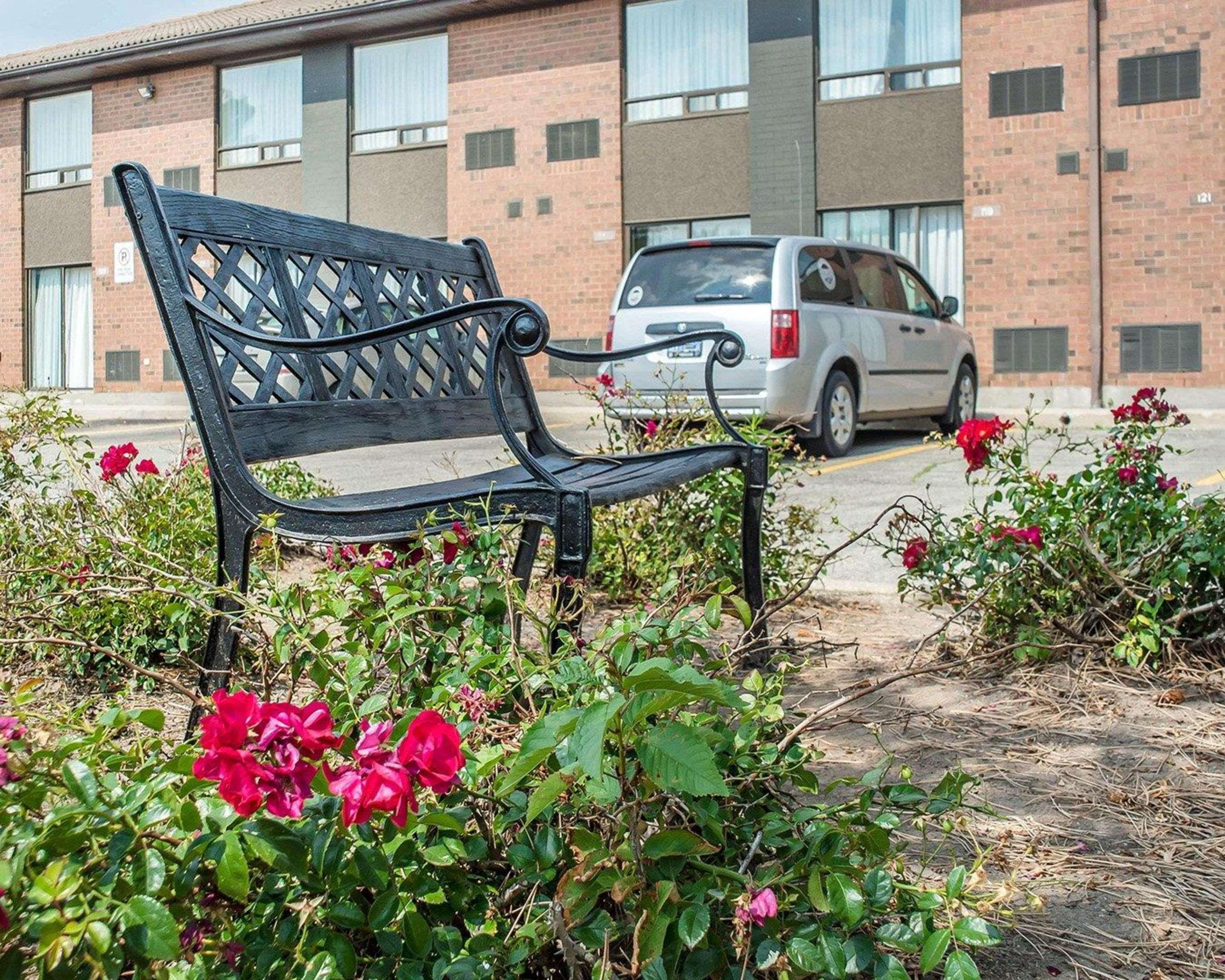 Comfort Inn Ватерлоо Экстерьер фото